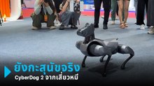 Xiaomi อวดโฉมหุ่นยนต์สุนัข CyberDog 2 ยังกะสุนัขจริง