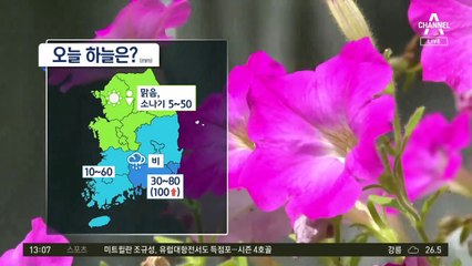 [날씨]폭염 속 중부 소나기·남부 많은 비