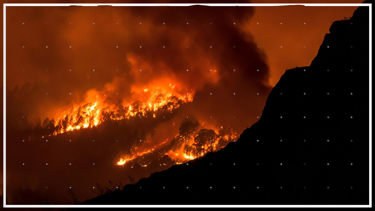 Feurwehr bekommt Waldbrand auf Teneriffa nicht in den Griff