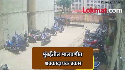 मुंबईत महिलेनं श्वानासोबत काय केलं पाहा