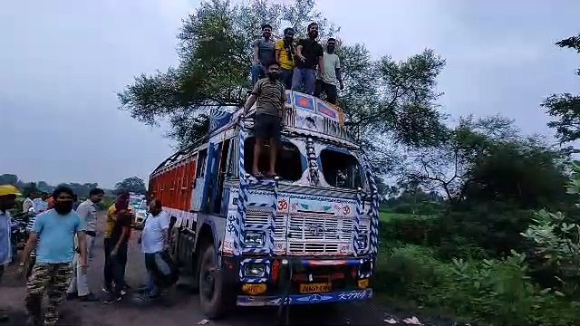 Cow smugglers were carrying cows and bullocks to the slaughter house