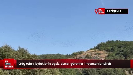 Göç eden leyleklerin eşsiz dansı görenleri heyecanlandırdı