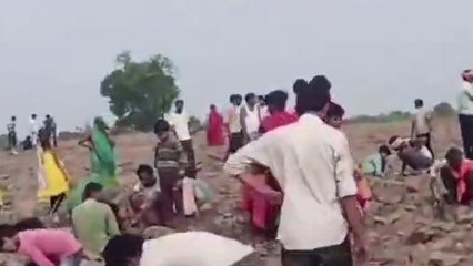 Video: अचानक जमीन से निकलने लगे चांदी के सिक्के, लूटने को दौड़े लोग और.. 