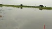 खगड़िया: बागमती और गंगा नदी उफान पर, नदी के जलस्तर में वृद्धि से निचले क्षेत्रों में फैला पानी