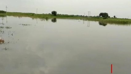 खगड़िया: बागमती और गंगा नदी उफान पर, नदी के जलस्तर में वृद्धि से निचले क्षेत्रों में फैला पानी