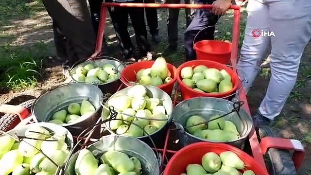 Le maire de la municipalité métropolitaine de Bursa, Alinur Aktaş, a rendu visite aux agriculteurs de Gürsu