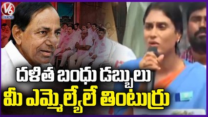 YS Sharmila Sensational Comments On CM KCR Schemes _  Lotus Pond  _ V6 News