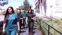 Kuzey Irak'tan 14 veteriner hekim adayı Diyarbakır'da staj yapacak