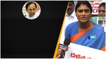 YS Sharmila ప్రజలను కలవడానికి మీ పర్మిషన్ తీసుకోవాలా..? CM KCR ను నిలదీసిన షర్మిల | Telugu OneIndia