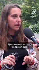 FEMME ACTUELLE - Protéger son chien des fortes chaleurs avec Hélène Gateau vétérinaire