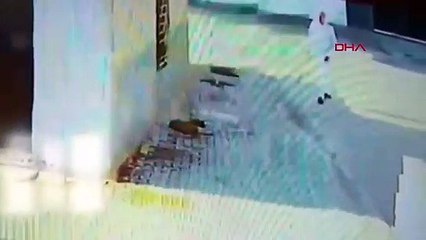 Mardin'de Yavru Köpeğe İşkence Eden Şahıs Gözaltına Alındı