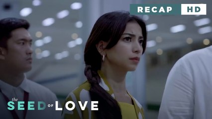The Seed of Love: Eileen desperately searches for answers! (Weekly Recap HD)