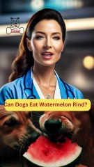 Can Dogs Eat Watermelon Rind | Dog Food Review | Zudaan
