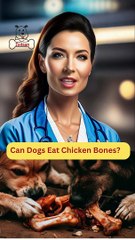 Can Dogs Eat Chicken Bones | Dog Food | Zudaan