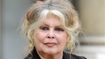 GALA VIDÉO - Brigitte Bardot inconditionnelle amoureuse : “J’ai toujours vécu avec un mari, un amant ou un amoureux”