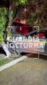#Preliminar Impactado contra el árbol de la fachada de una vivienda, fue como terminó un automóvil Mercedes Benz #GuardiaNocturna