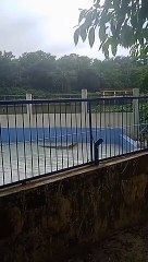 Crocodile Feeding in Zoo