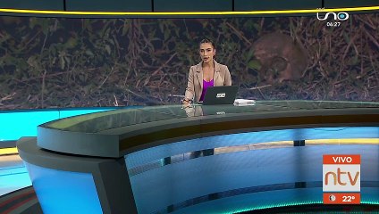 Hallan restos óseos