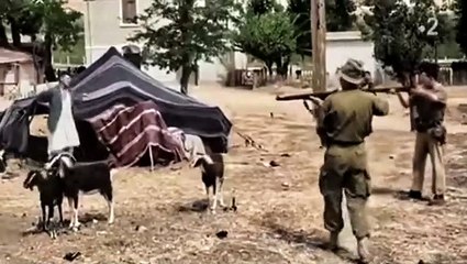 Guerre d'Algérie - France répression aveugle