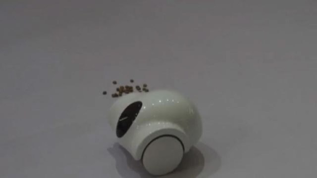 Cani clonati e robot di compagnia, la fiera degli animali a Shanghai