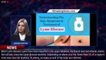 What is Lyme disease? Understand symptoms, treatment, more - 1breakingnews.com
