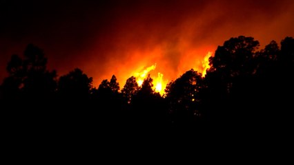 El incendio de Tenerife ha afectado a una superficie de 3.273 hectáreas