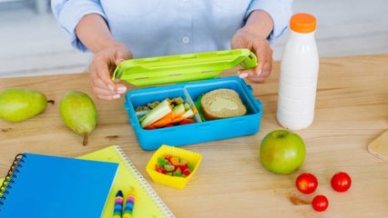 Aprende A Conservar La Comida Que Tus Hijos Llevan Al Colegio