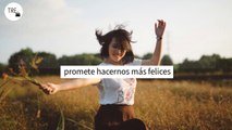 Meraki, la actitud que podemos aplicar en el trabajo y promete hacernos más felices