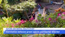 Study Suggests Link Between Greenery and Mental Health