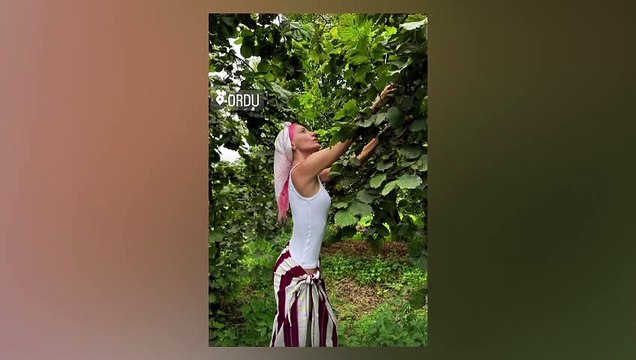 ＂Ask＂ quelles sont les paroles？ Edis- Gülşen ＂Ask＂ paroles!