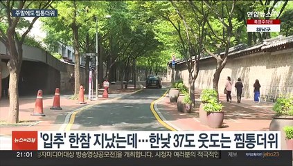 절기상 '처서' 코앞인데 찜통더위…다음 주 잦은 비