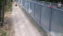 Les gardes-frontières polonais ont partagé des images montrant des migrants irréguliers tentant de traverser la frontière biélorusse