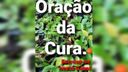 Oração da Cura. Só O Senhor Jesus Cristo Salva.