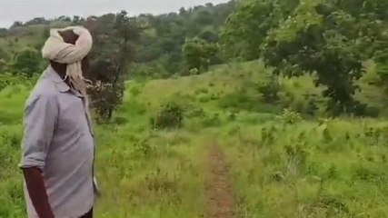 खरगौन: किसान की जमीन पर वन विभाग ने किया कब्जा,जाने पूरा मामला