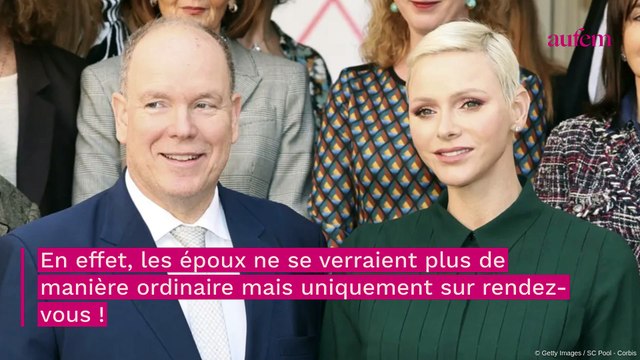 Charlène et Albert de Monaco se verraient uniquement sur rendez-vous, révélations sur leur couple