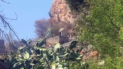 L'incendio che ha devastato a Monte Pellegrino