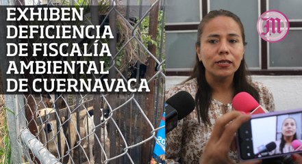 Van tras autores de llamadas falsas en Morelos