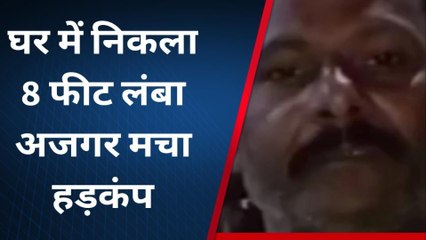 प्रयागराज: घर में निकला 8 फीट लंबा अजगर,घर छोड़ भाग खड़े हुए लोग