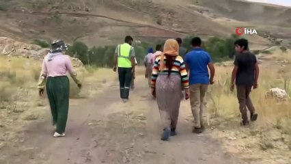 Hakkari'de köpeklerin saldırdığı sürüdeki 30 koyun telef oldu