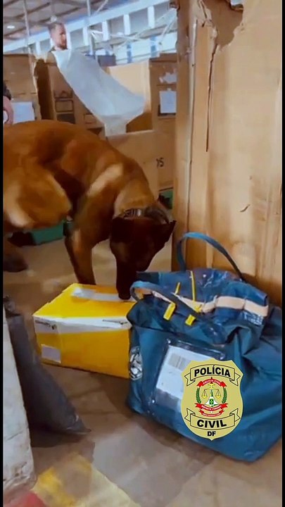 Operação da PCDF coíbe distribuição de cigarros eletrônicos contrabandeados