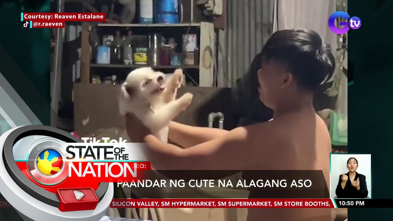 Mga paandar ng cute na alagang aso | SONA