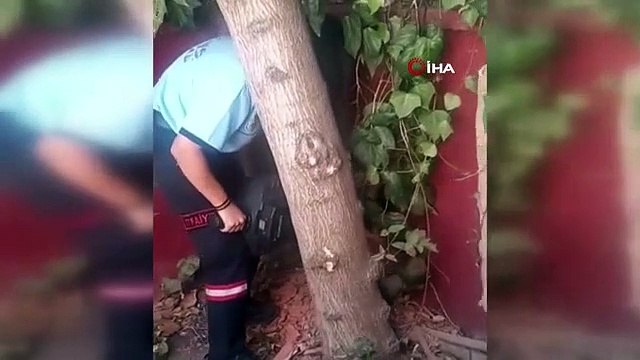 Des chatons piégés à Tekirdağ Çorlu secourus par les pompiers