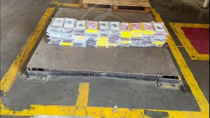 Receita Federal apreende 55 kg de cocaína no Porto de Paranaguá