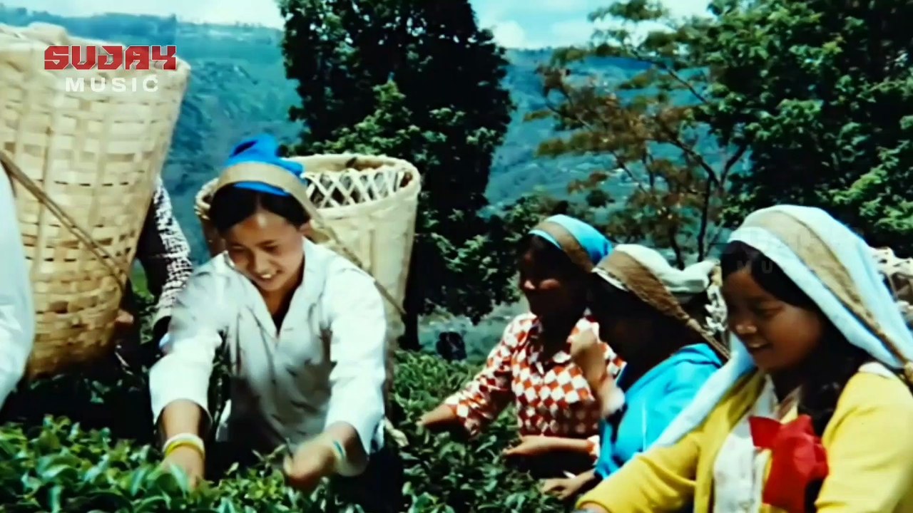 Stol ostida bekasining oyoqlarini yalang