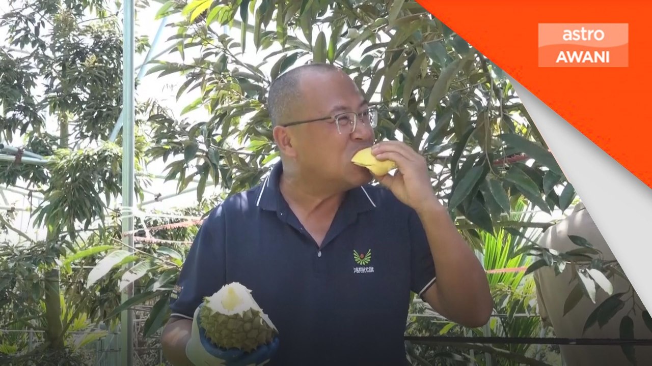 Baka baharu 'durian Hainan'