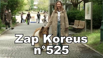 Zap Koreus n°525