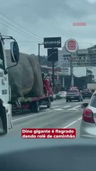 Dino gigante é flagrado dando rolê de caminhão