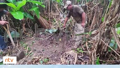 Feminicida muerto en su celda