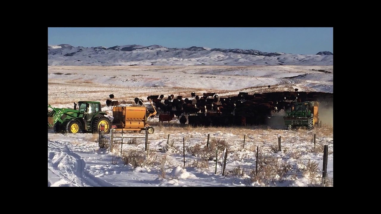 Cowboys Without Borders ｜ WESTERN ｜ Cowboy Film ｜ Free Western ｜ Old West