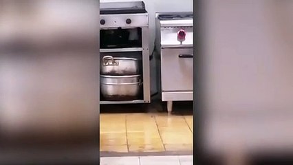 ext-ratas-en-colegio-180823